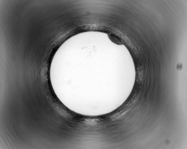 X0000103460450200810101154