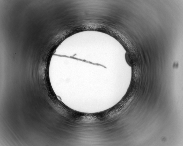 X0000103460451200810101154