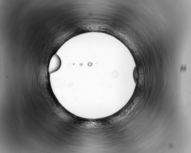 X0000103460453200810101154