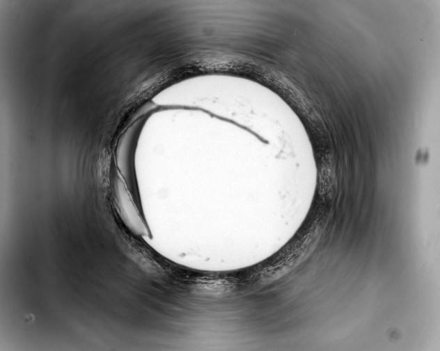 X0000103460454200810101154