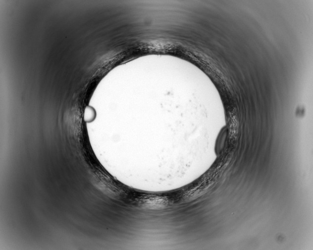X0000103460456200810101154