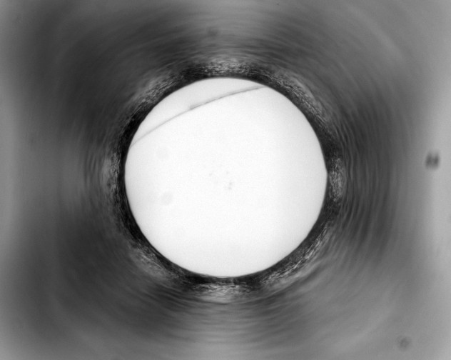 X0000103460458200810101154