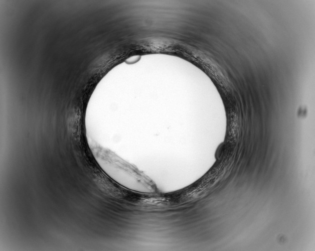 X0000103460461200810101154