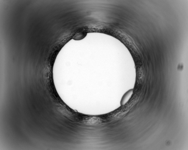 X0000103460463200810101154