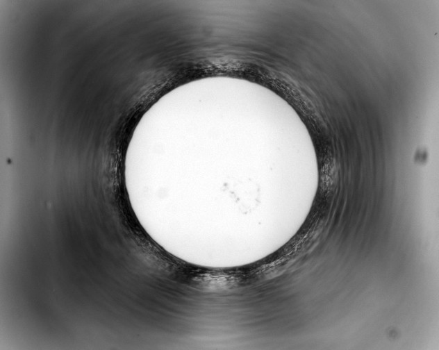 X0000103460464200810101154