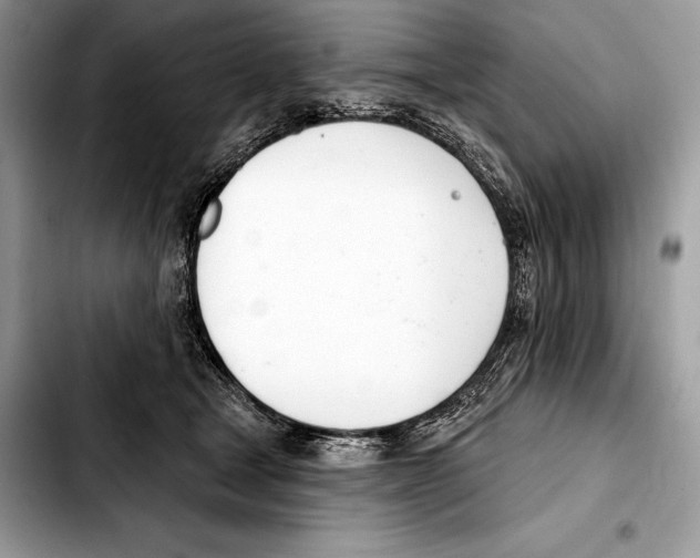 X0000103460465200810101154
