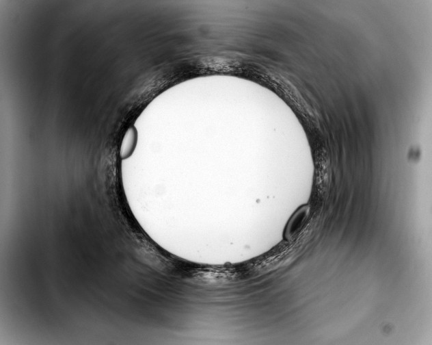 X0000103460466200810101154