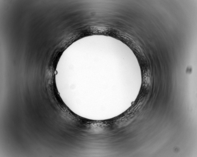 X0000103460468200810101154
