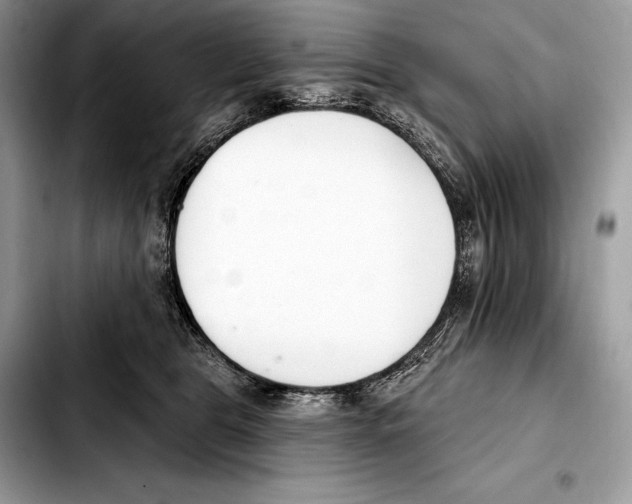 X0000103460469200810101154