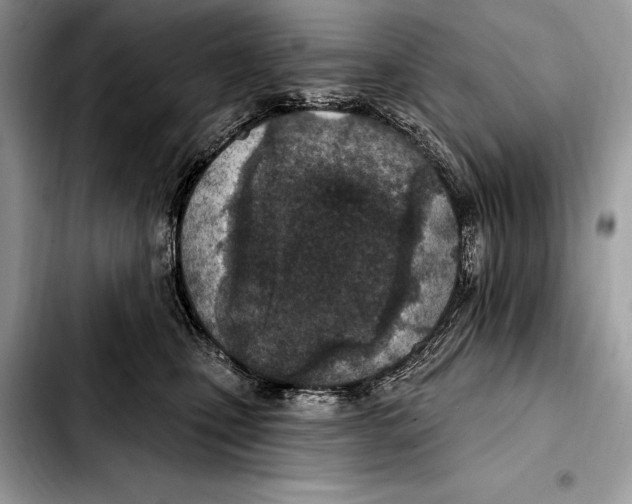 X0000103460471200810101154