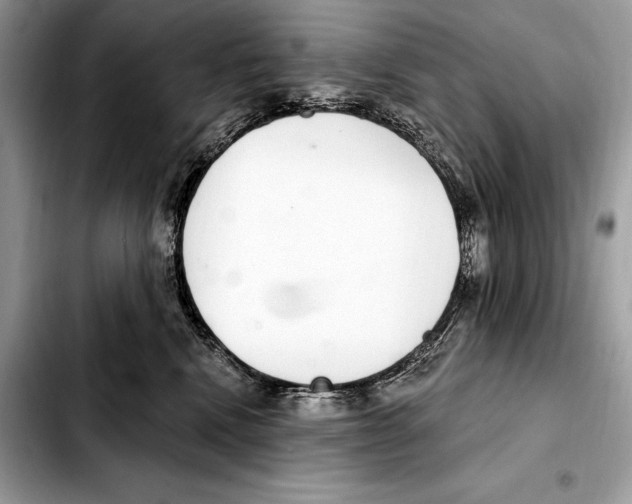 X0000103460472200810101154