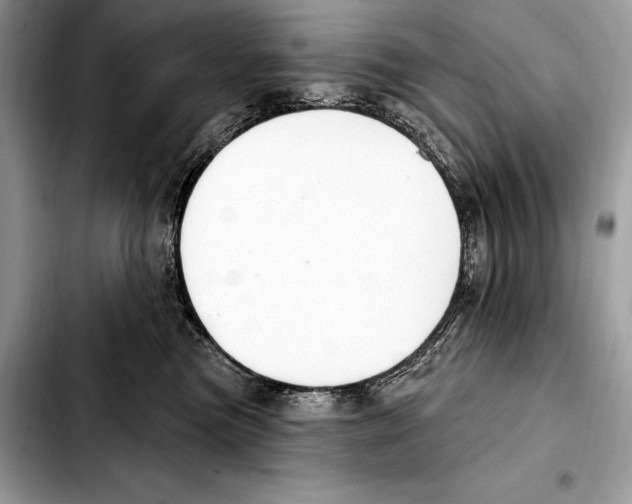 X0000103460473200810101154