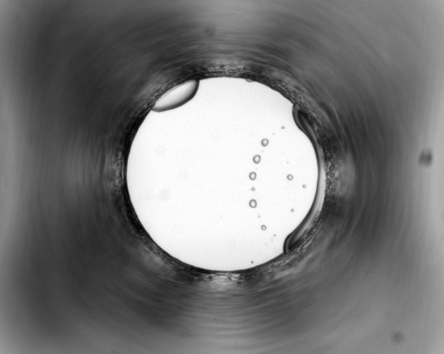 X0000103460474200810101154