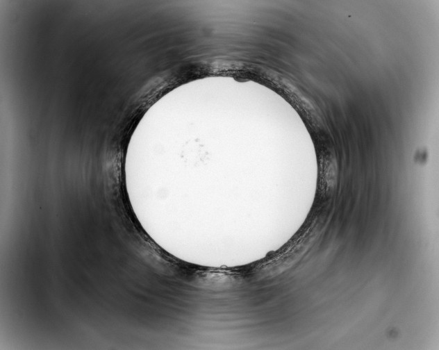 X0000103460475200810101154