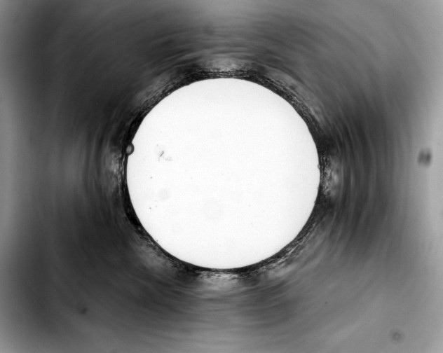 X0000103460476200810101154