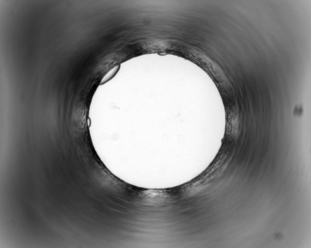X0000103460477200810101154