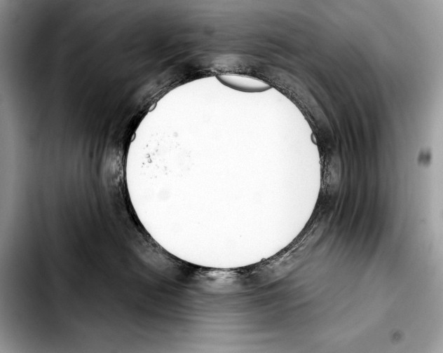 X0000103460478200810101154