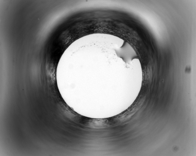 X0000103460479200810101154