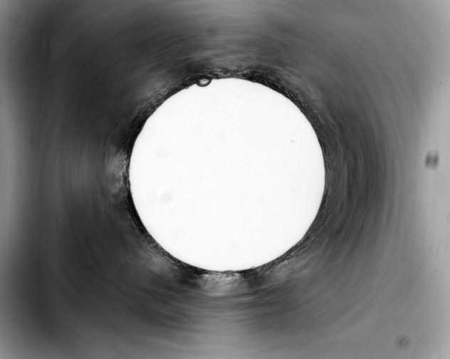 X0000103460480200810101154