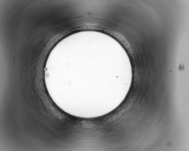 X0000103460481200810101154