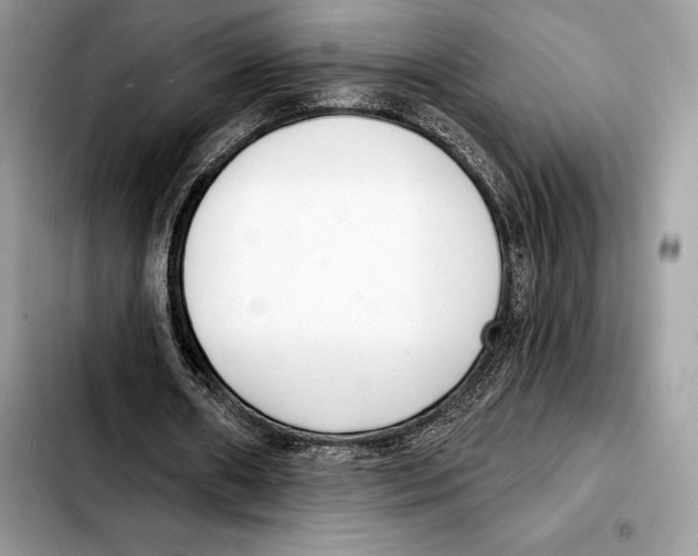 X0000103460482200810101154