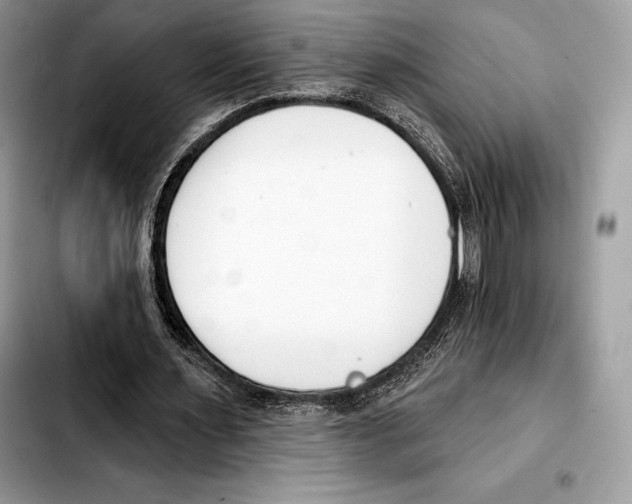 X0000103460483200810101154