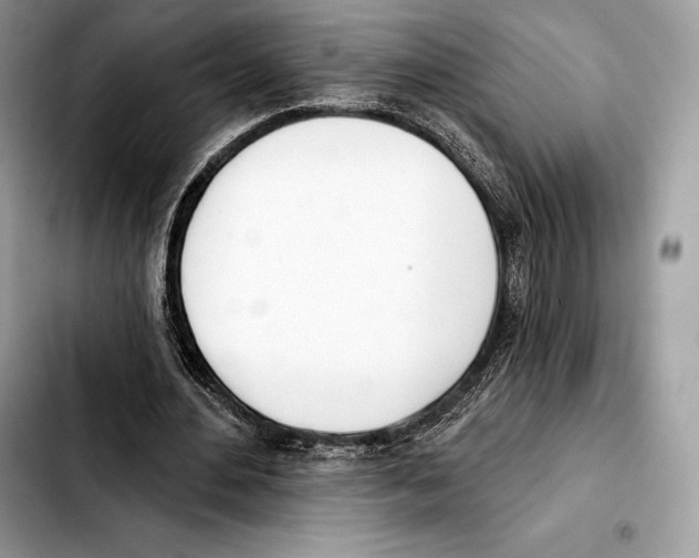X0000103460484200810101154