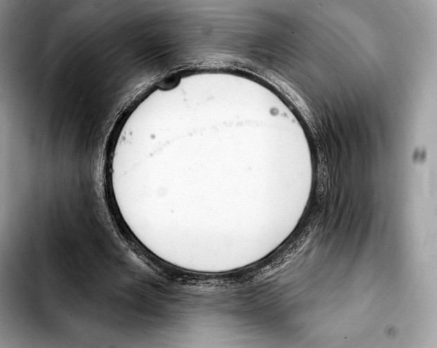 X0000103460485200810101154