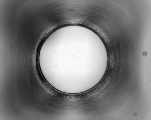 X0000103460486200810101154