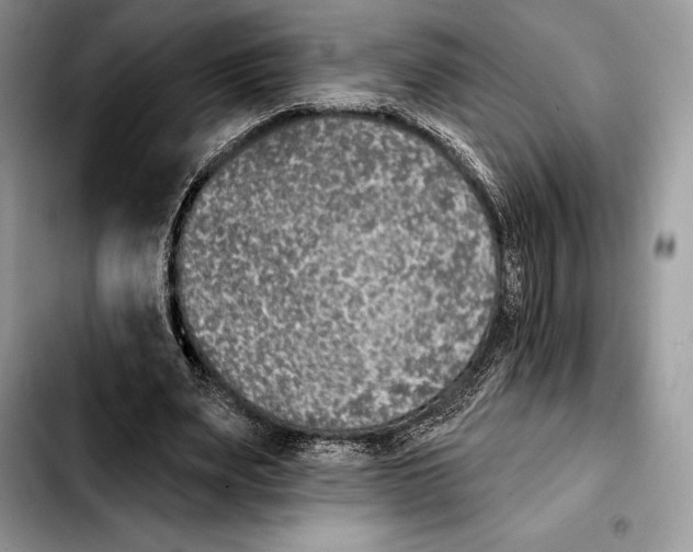 X0000103460487200810101154