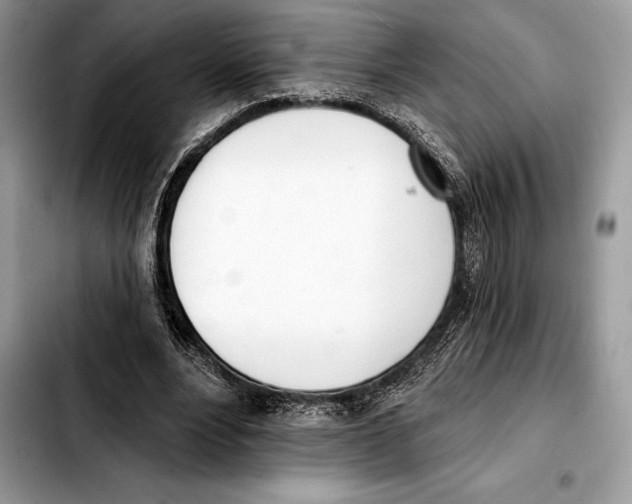 X0000103460488200810101154