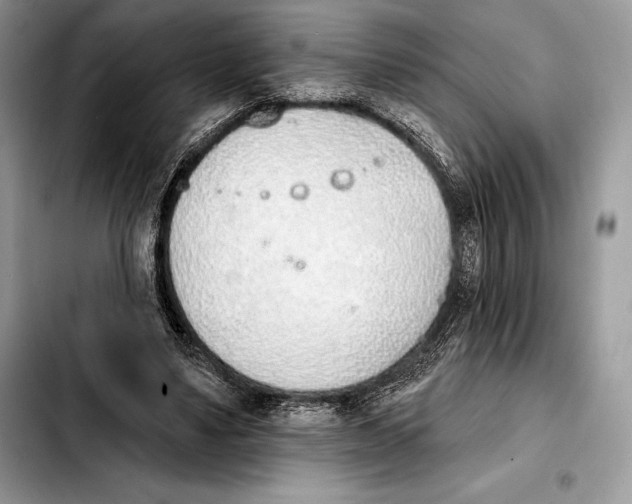 X0000103460491200810101154