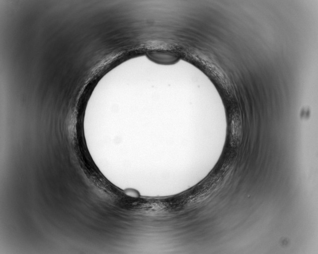 X0000103460492200810101154