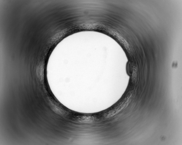 X0000103460493200810101154