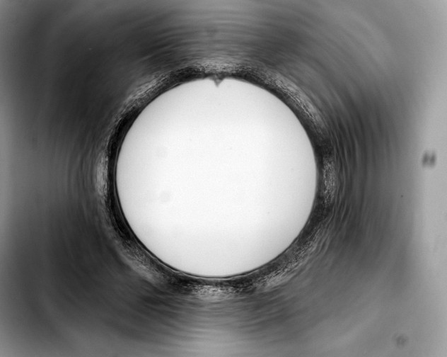 X0000103460494200810101154