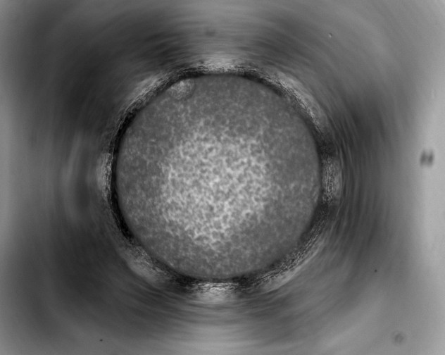 X0000103460495200810101154