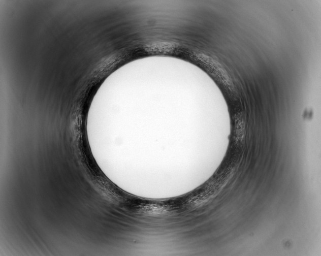 X0000103460498200810101153