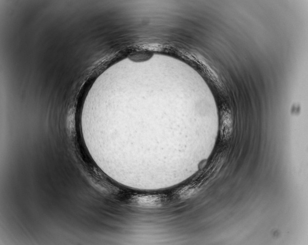 X0000103460500200810101153