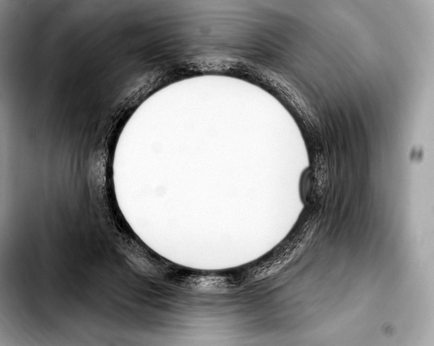 X0000103460501200810101153