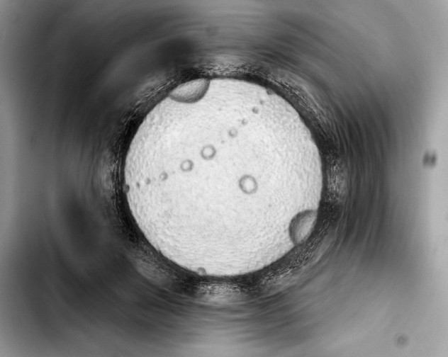 X0000103460503200810101153