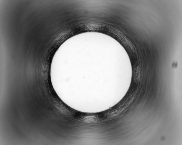 X0000103460505200810101153