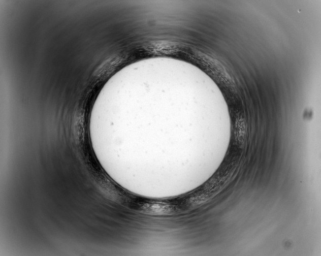 X0000103460506200810101153