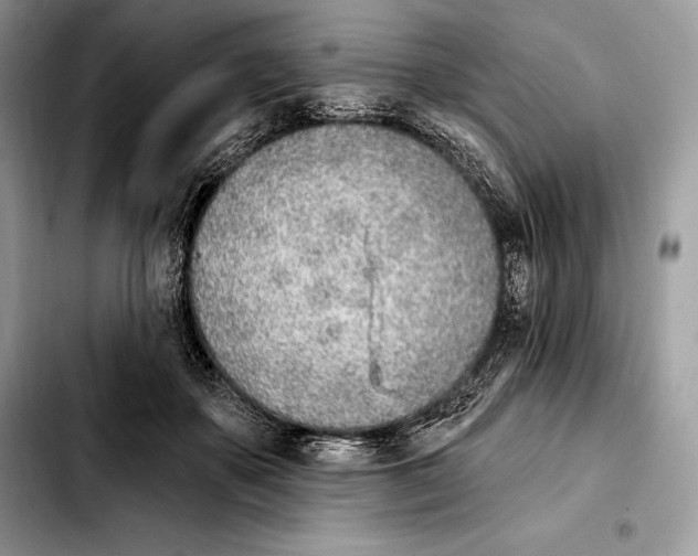 X0000103460507200810101153
