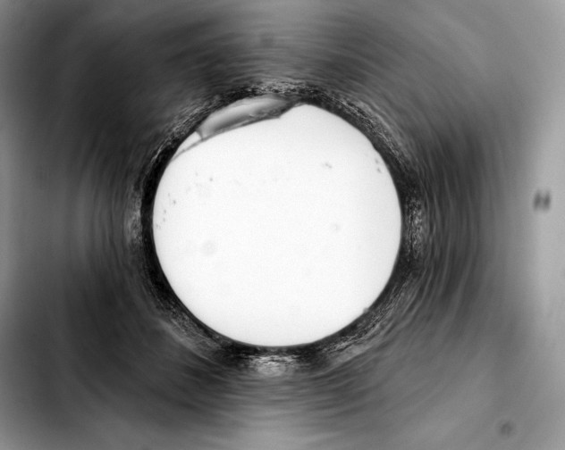 X0000103460508200810101153