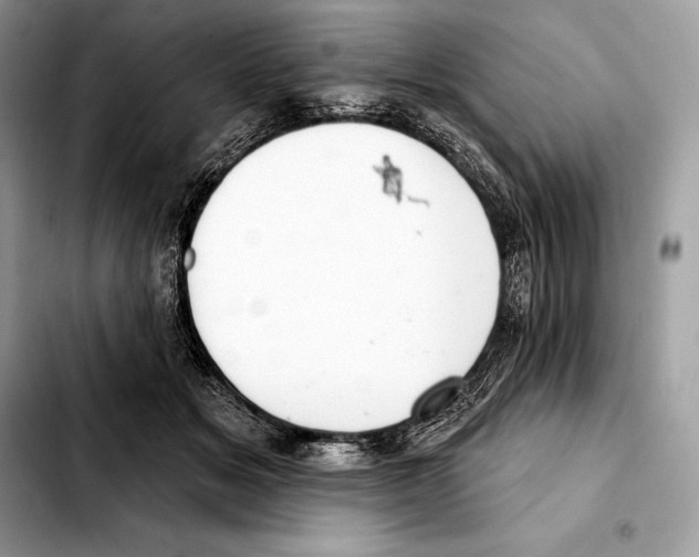 X0000103460509200810101153