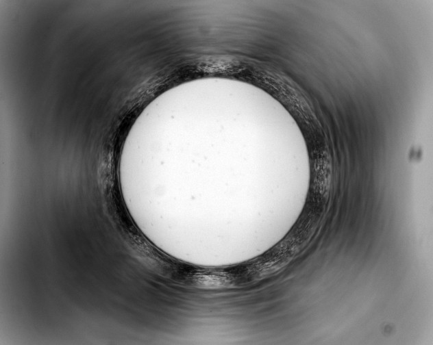 X0000103460510200810101153