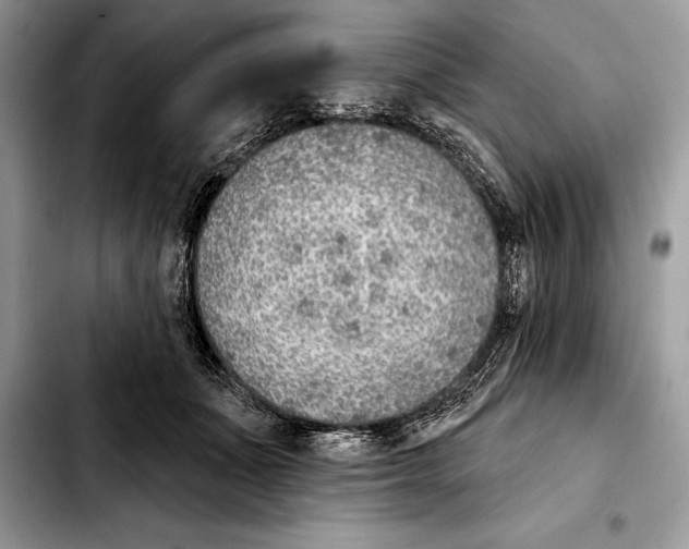 X0000103460511200810101153