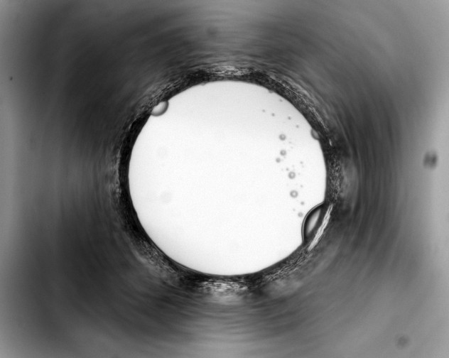 X0000103460512200810101153