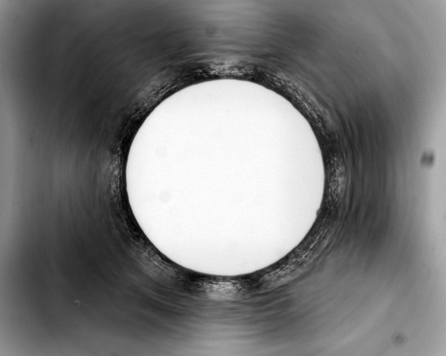 X0000103460513200810101153