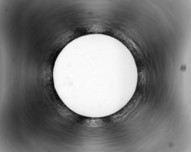 X0000103460517200810101153
